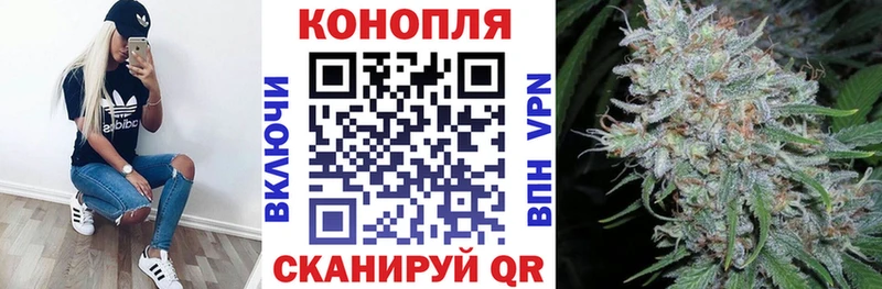 МАРИХУАНА Amnesia  купить  цена  Зуевка 